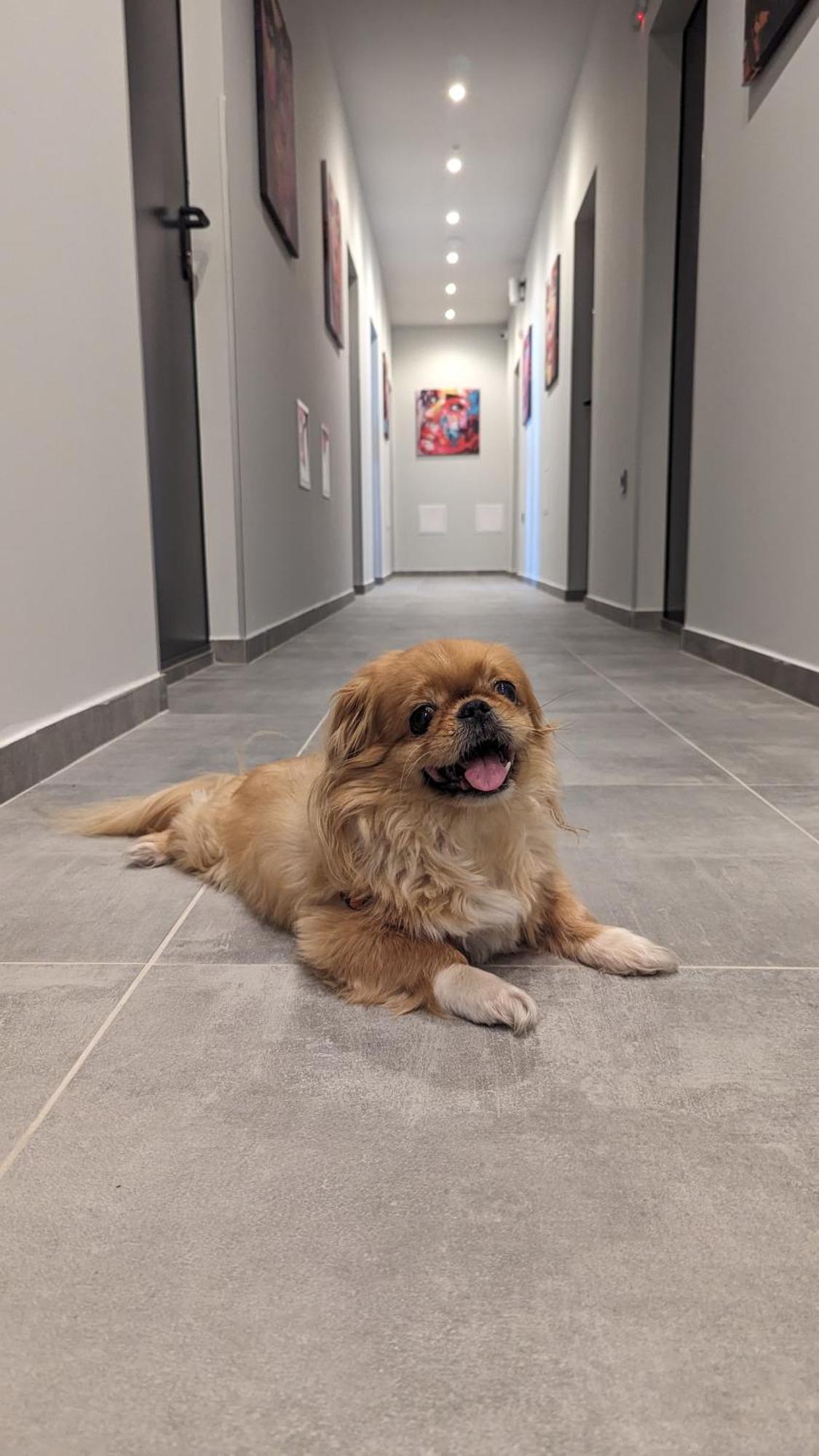 Dorm Bg Pet-Friendly Aparthotel Стара Загора Екстериор снимка